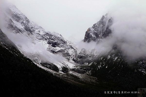 狗丢了，找狗的最好方法是什么？游戏画面